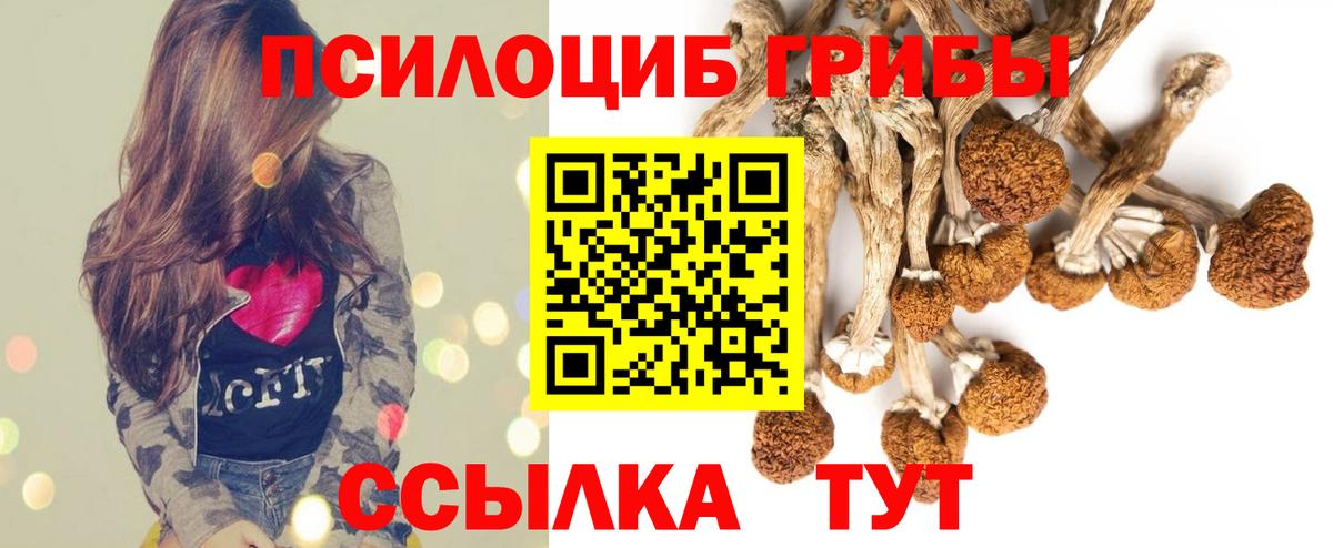 Зеленодольск  Псилоцибиновые грибы MAGIC MUSHROOMS  Вход с VPN 