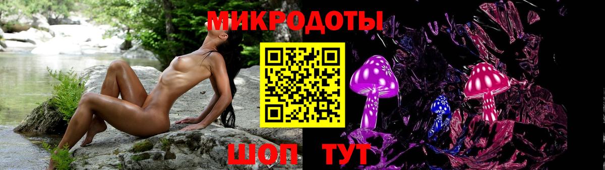 Галлюциногенные грибы Psilocybe Зеленодольск